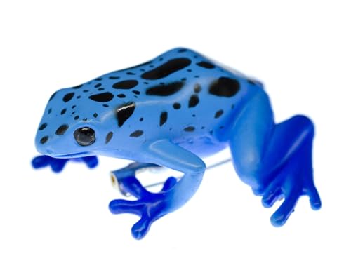 Miniblings Giftfrosch Frosch Gummi Brosche Blau Pfeilgiftfrosch Blauer Baumsteiger Dendrobates tinctorius var. azureus Froschbrosche Dendrobaten - Handmade Modeschmuck I Anstecknadel Button Pins von Miniblings