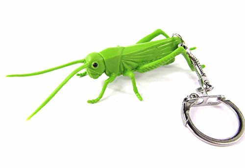 Miniblings Heuschrecke Grashüpfer Insekt Schlüsselanhänger - Handmade Modeschmuck I Anhänger Schlüsselring Schlüsselband Keyring - Heuschrecke Grashüpfer Insekt Miniblings Heuschrecke Grashüpfer Insekt Schlüsselanhänger - Handmade Modeschmuck I Anhänger Schlüsselring Schlüsselband Keyring - Heuschrecke Grashüpfer Insekt von Miniblings