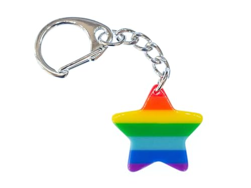 Miniblings Regenbogen Stern Schlüsselanhänger - Handmade Modeschmuck I Anhänger Schlüsselring Schlüsselband Keyring - Sternchen Farben Pride Glück Glücksbringer bunt von Miniblings