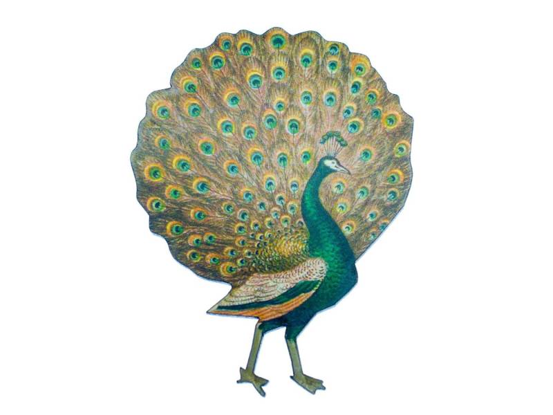 Pfau Brosche Miniblings Anstecknadel Pfauenbrosche Vogel Holz Gelasert 70mm von Miniblings