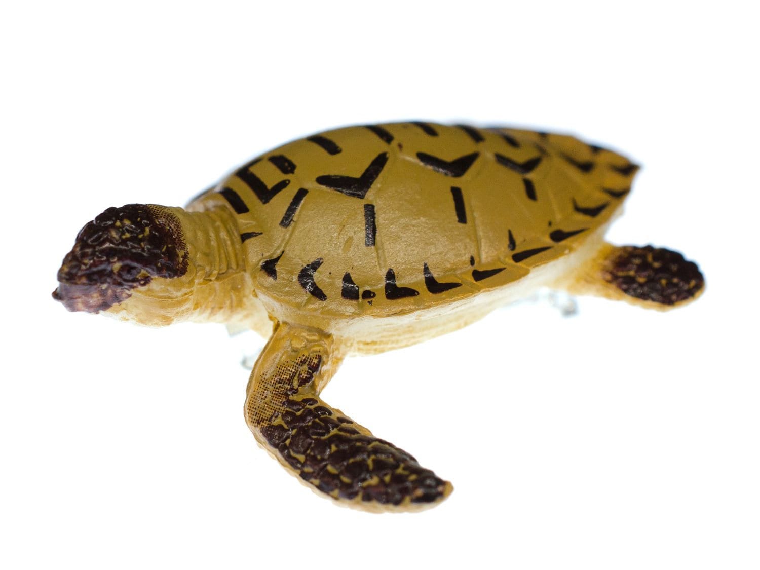 Schildkröte Brosche Miniblings Anstecknadel Wasserschildkröte Turtle Tier Braun von Miniblings