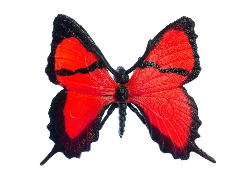 Schmetterling Brosche Miniblings Rot Frühling Falter Fliegen Insekt Tier Gummi Schmetterling Brosche Miniblings Rot Frühling Falter Fliegen Insekt Tier Gummi von Miniblings