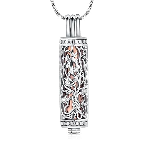 Minicremation Kremation Urne Anhänger Halskette mit hohlen Zylinder Vial Keepsake Urne Kremation Schmuck Memorial Lockets für Asche für Frauen Männer (Silver-Rose Gold) von Minicremation