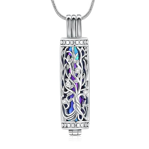 Minicremation Kremation Urne Anhänger Halskette mit hohlen Zylinder Vial Keepsake Urne Kremation Schmuck Memorial Lockets für Asche für Frauen Männer (Sliver-Colorful) von Minicremation