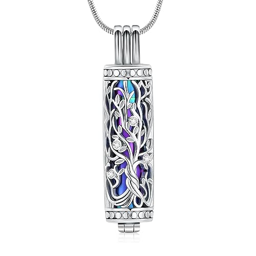 Minicremation Kremation Urne Anhänger Halskette mit hohlen Zylinder Vial Keepsake Urne Kremation Schmuck Memorial Lockets für Asche für Frauen Männer (Sliver-Colorful) von Minicremation