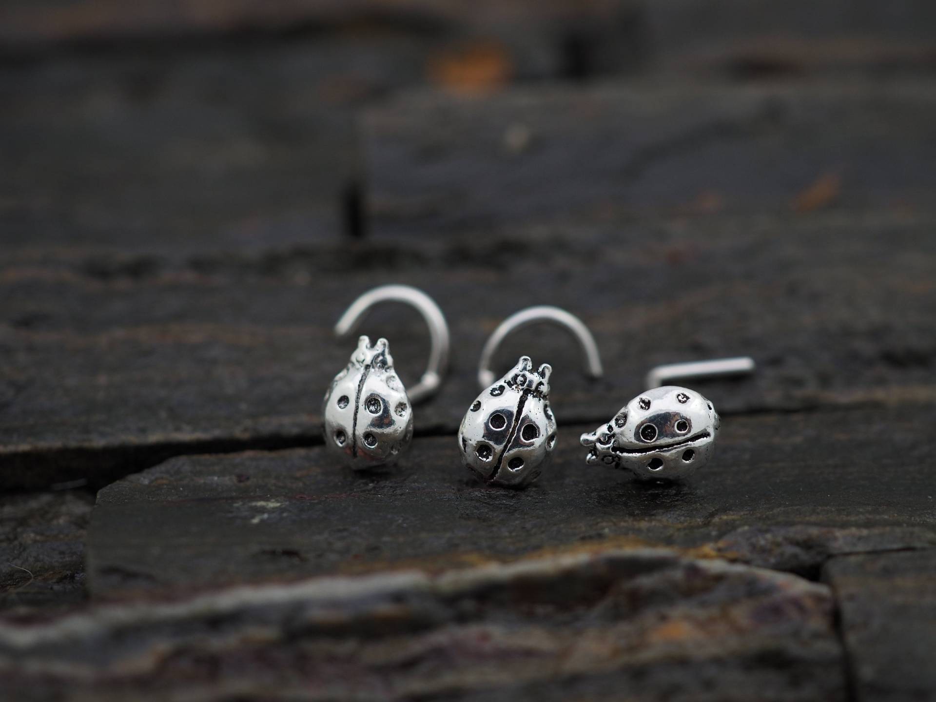 sterling Silber Marienkäfer Nasenstecker 18G/20G Insekt Piercing sterling Silber Marienkäfer Nasenstecker 18G/20G Insekt Piercing von MinimalJewelrybyJK