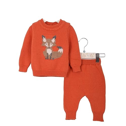 Minora Baby Born Zubehör Kleidung Erstausstattung Winter Hose und Pullover Outfit Set für Neugeborene Jungen, Mädchen und Boys, Orange-Fuchs, 9-12 Monate von Minora