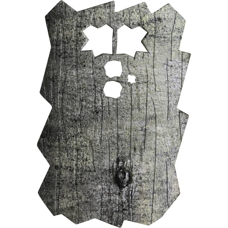 Minox DTC 460 Frontblende von Minox