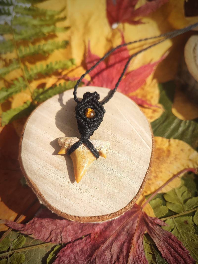Haizahn Kette, Makramee Kette Mit Haifischzahn Und Tigerauge, Necklace With Shark Tooth von MioSunCreations