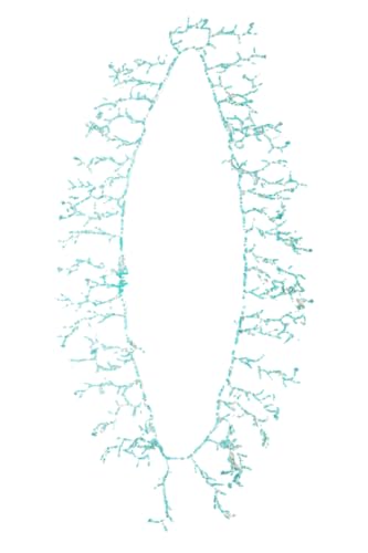 Miro Travel Wear Antica Sartoria - Damenhalskette mit Harzperlen im böhmischen Stil, bunte Perlen mit Anhängern. Schöner Modeschmuck, Halskette für Damen, unsichtbarer Freund, originelles Geschenk von Miro Travel Wear