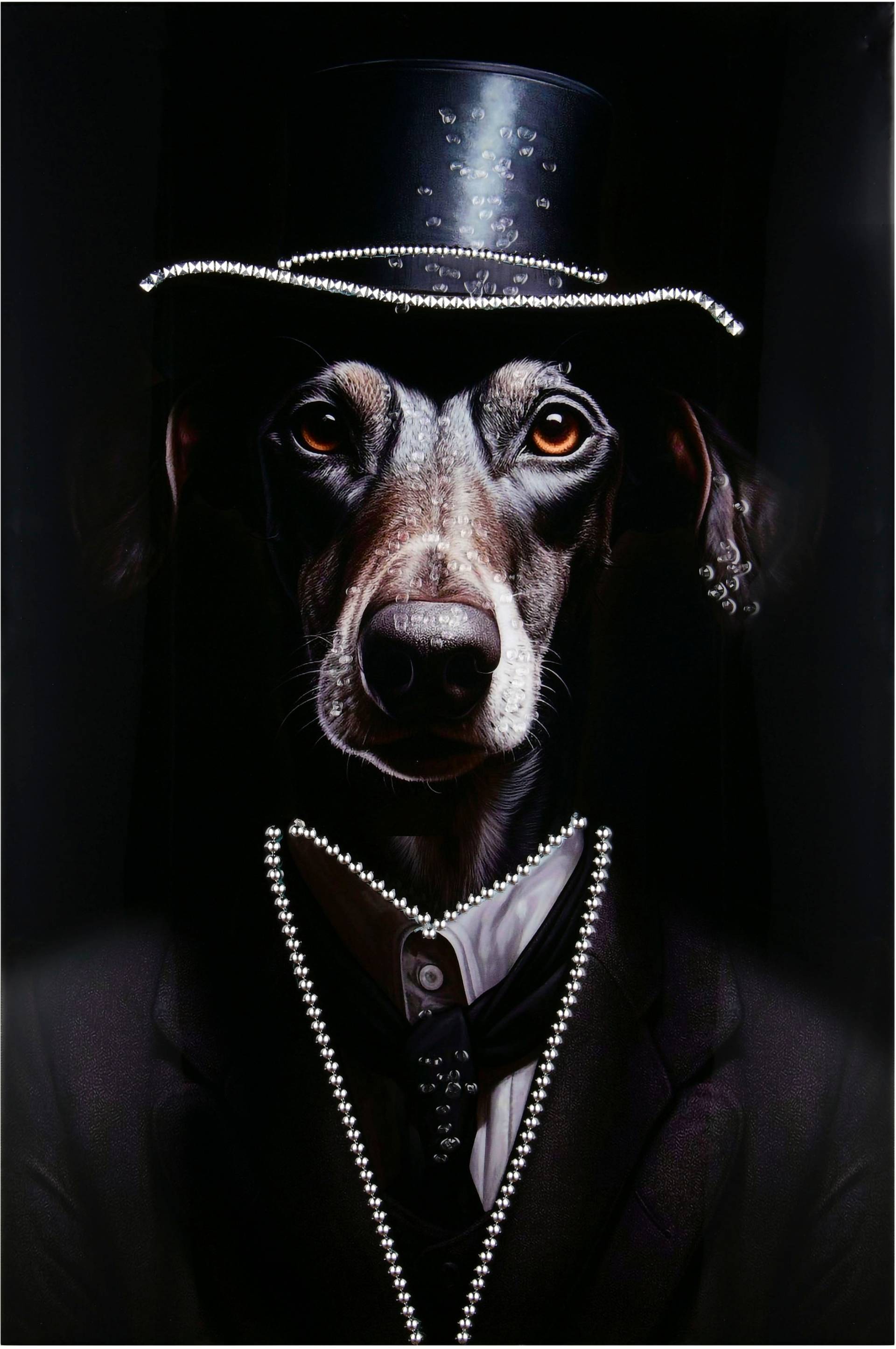 MIRRORS AND MORE Kunstdruck "LINUS" 1 Stk. tlg. Mix aus Tierporträt und Modekunst von Mirrors And More