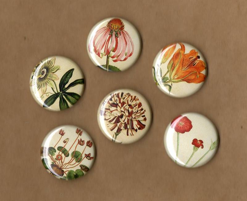 Wildblumen 6Er Set Buttons von MisplacedTalents