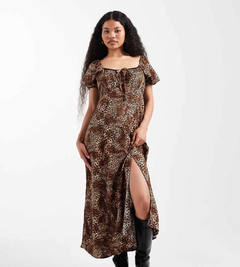 Miss Selfridge Petite - Midaxikleid aus gesponnenem Stoff mit Tierfellmuster-Bunt von Miss Selfridge Petite