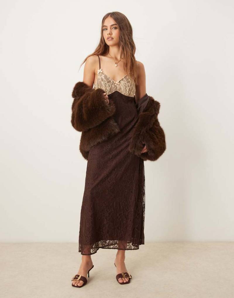 Miss Selfridge - Maxi-Trägerkleid in Schokobraun mit farblich abgesetzter Spitze von Miss Selfridge