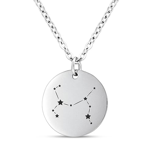 Mister Boncuk® StarChain - Halskette mit Sternzeichen Gravur aus Edelstahl - Sternzeichenkette Personalisiert - Kette mit Namen - Horoskop Kette - (Silber) von Mister Boncuk Handmade Jewelry