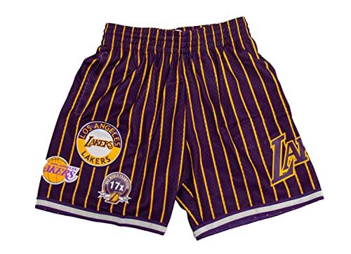 Mitchell & Ness NBA Hometown Mesh Short - Los Angeles Lakers, M von Mitchell & Ness