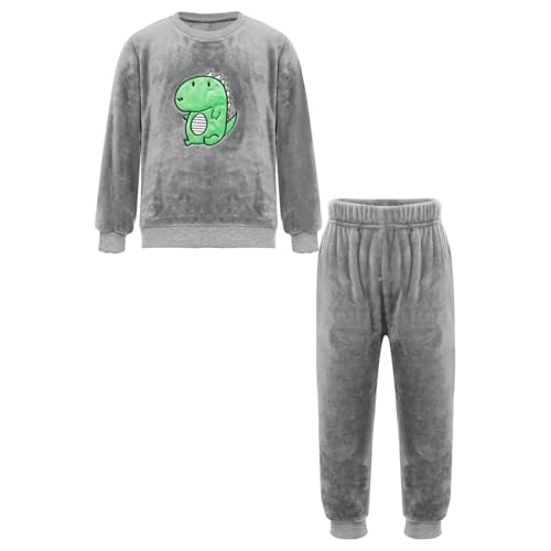 Miutii Kinder Jungen Mädchen Fleece Schlafanzug Zweiteiler Cartoon Muster Kuschelig Pullover + Hose Flauschiger Pyjama Set Warme Winter Nachtwäsche Grau Dinosaurier 110-116 von Miutii