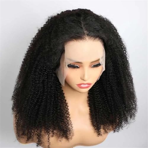 Frauen Afro Kinky Curly Perücke 13X4 Lace Front Perücke Vorgezupft 180 Dichte Lace Frontal Lockiges Echthaar 180 26inches von Mnjyihy