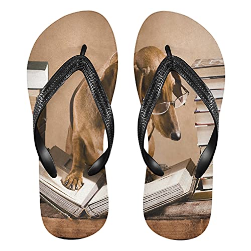 Mnsruu Dackel Professor Book Hund Flip Flops Flip Sandalen Home Hausschuhe Hotel Spa Schlafzimmer Reisen S für Männer Frauen von Mnsruu