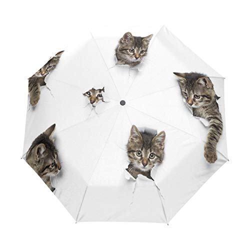Mnsruu Regenschirm Taschenschirm Automatic Öffnen Schließen Cats In Holes Reiseschirm UV-Schutz Winddicht für Frauen Männer von Mnsruu