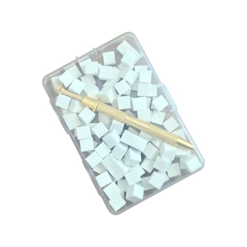 Omber Nails Pinsel Mit Greifen Stift Baumwollnägel Kunstdesigns Leichtgewichte Für Frauen Mädchen Weiß/farbenfrohe 100 Pieche Nagelkunstschwämme Mit Griffstift von Mocoocouture