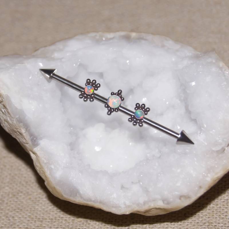 Chirurgenstahl Industrie Schmuck, Barbell, Ohrring, Scaffold Piercing, 14G Stahl Bar Piercing von ModernJewelBoutique