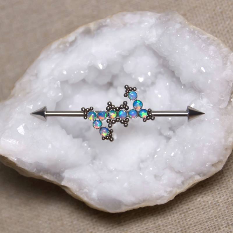 Chirurgenstahl Industrie Schmuck, Barbell, Ohrring, Scaffold Piercing, 14G Stahl Bar Piercing Chirurgenstahl Industrie Schmuck, Barbell, Ohrring, Scaffold Piercing, 14G Stahl Bar Piercing von ModernJewelBoutique