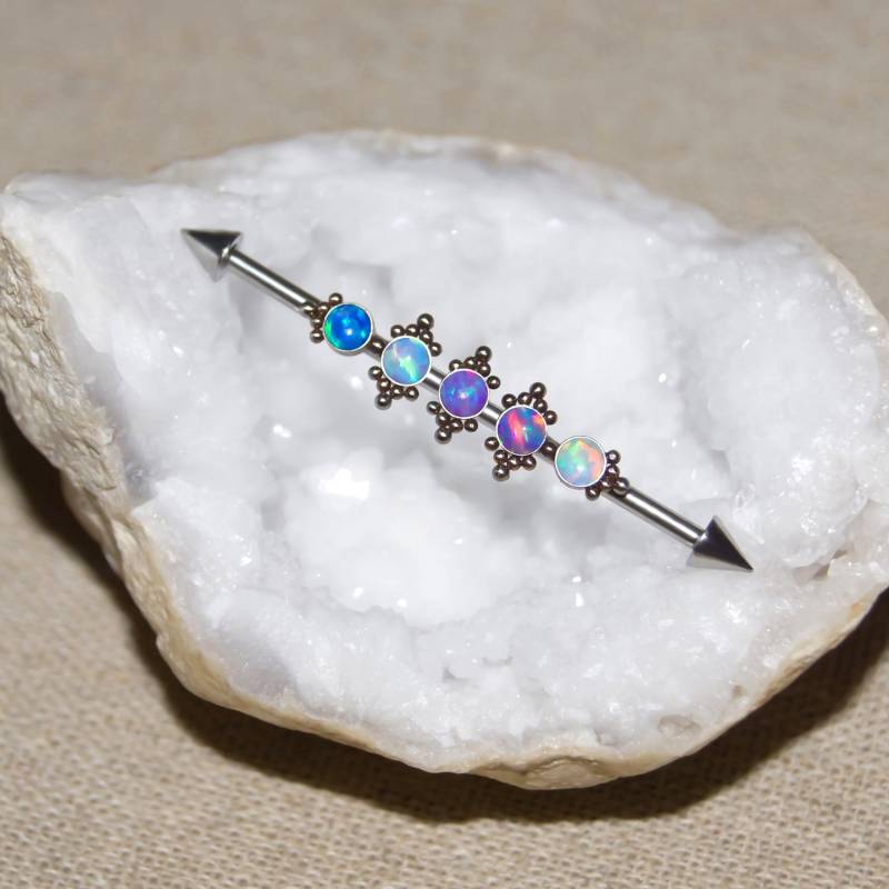 Chirurgenstahl Ohrring, Oberohr Knorpel Piercing, Industrial Barbell, Gerüst 14G Barbell Chirurgenstahl Ohrring, Oberohr Knorpel Piercing, Industrial Barbell, Gerüst 14G Barbell von ModernJewelBoutique