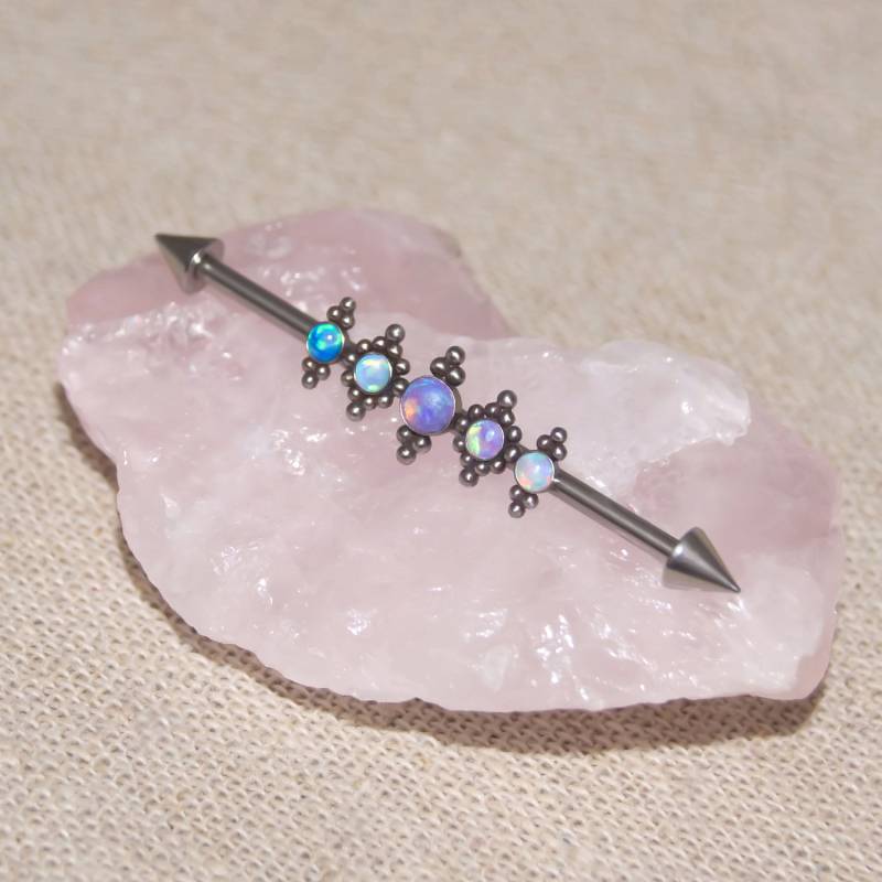 Industrie Schmuck Chirurgenstahl, Knorpel Piercing, Industrial Barbell, Gerüst Doppel Ohrstecker Industrie Schmuck Chirurgenstahl, Knorpel Piercing, Industrial Barbell, Gerüst Doppel Ohrstecker von ModernJewelBoutique