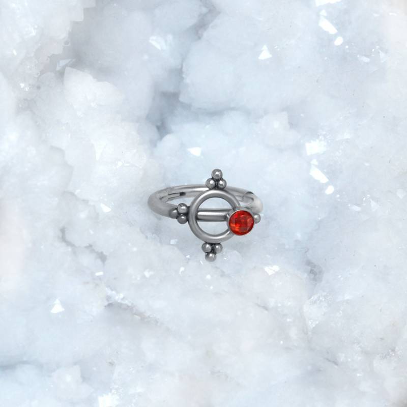 Tragus Hoop - Chirurgenstahl Knorpel Clicker Helix Piercing Schmuck Rook Ring Cz Ohrring Für Conch Tragus Hoop - Chirurgenstahl Knorpel Clicker Helix Piercing Schmuck Rook Ring Cz Ohrring Für Conch von ModernJewelBoutique