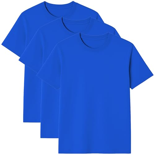 3er Pack Herren T-Shirt – 100% US-Baumwolle, Rundhals, Klassischer Schnitt – Basic für Alltag - Royalblau 2XL von Modesta