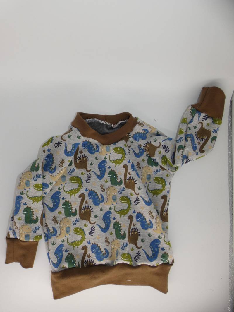 Sweater, Sweatpulli, Pulli, Pullover, Sweatshirt, Alpenfleece, Dino von Moewenkind