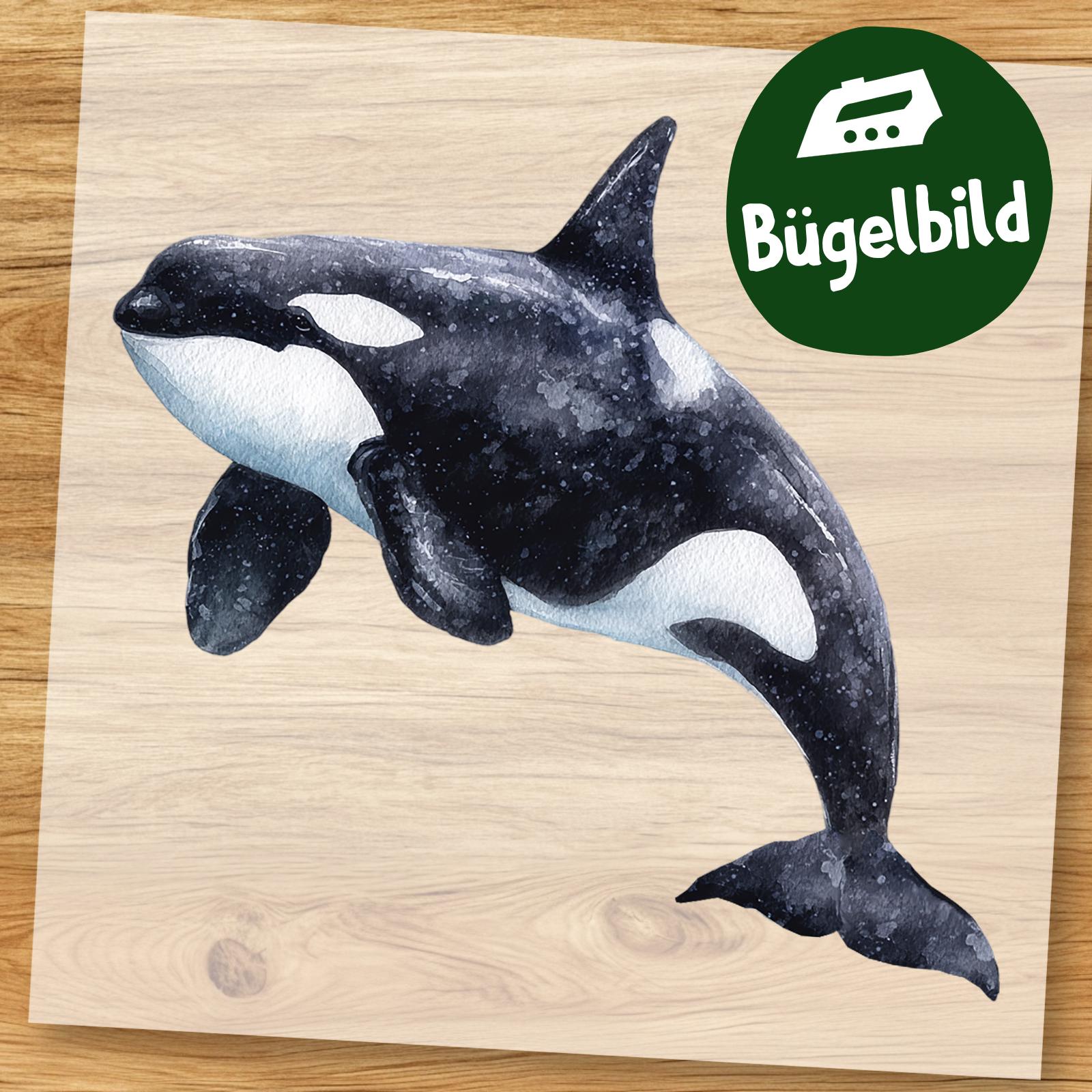 Süßer Orca Bügelbild, Aquarell Schwertwal in Wasserfarbe, Meerestier Für Kinder Shirt, Schultüte Aufbügler Ozean Wal Motiv von MokoDesignDE