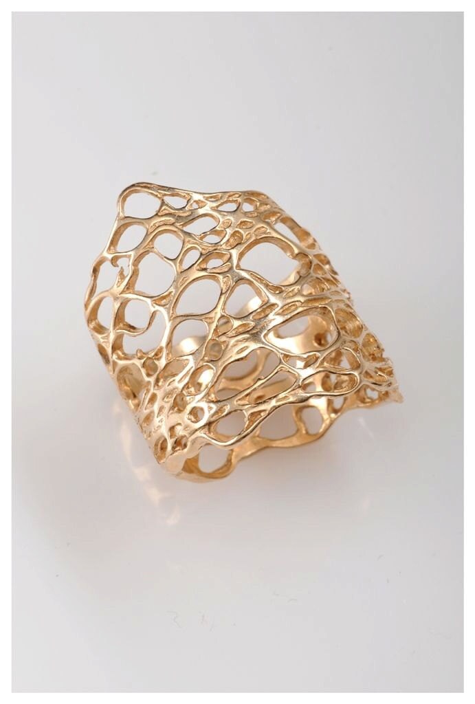 14K Vergoldeter Terra Ring Sabra Rüssel Textur von Molikan