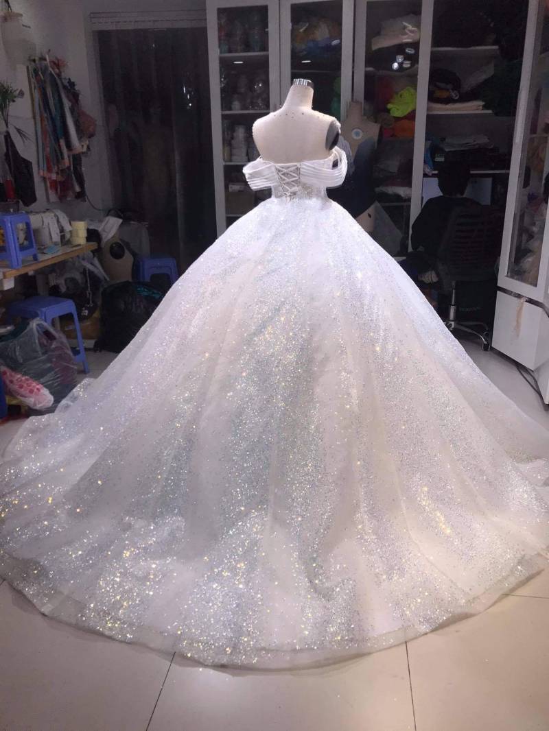 Weißes Brautkleid, Weißes Glitzerndes Hochzeitskleid, Ballkleid, Quinceanera Ballkleid Weiß von MollyNguyenDesign2