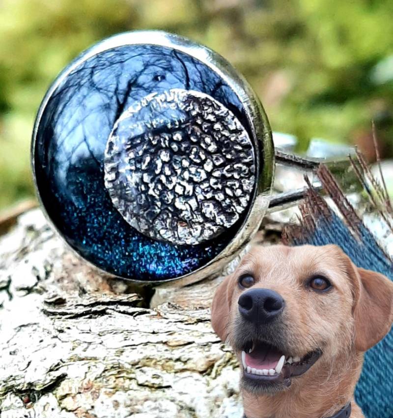 Tierandenken Ring Silber-/Goldfarben, Größenverstellbar - Andenken Haustier, Erinnerungsstück Mit Nasenabdruck, Tierhaarandenken Möglich Tierandenken Ring Silber-/Goldfarben, Größenverstellbar - Andenken Haustier, Erinnerungsstück Mit Nasenabdruck, Tierhaarandenken Möglich von MonChichiBerlin