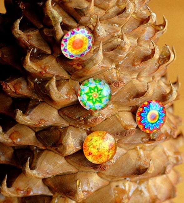 Druckknopf Mit Glaskuppel Für Click & Clack Schmuck. Der Preis Gilt Eine Einheit Druckknopf Mit Glaskuppel Für Click & Clack Schmuck. Der Preis Gilt Eine Einheit von Monibu