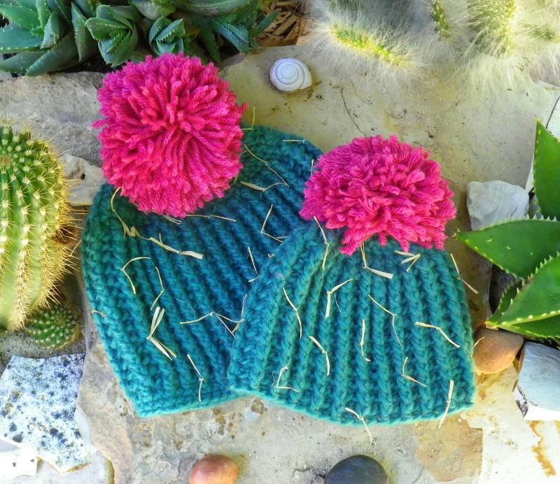 Halloween Kaktus Mütze, Fass Blau-Grün Mit Fuchsia Pom Blume, Kaktusblüte, Wüstenblumen Hut Halloween Kaktus Mütze, Fass Blau-Grün Mit Fuchsia Pom Blume, Kaktusblüte, Wüstenblumen Hut von MoonBugStudioShop