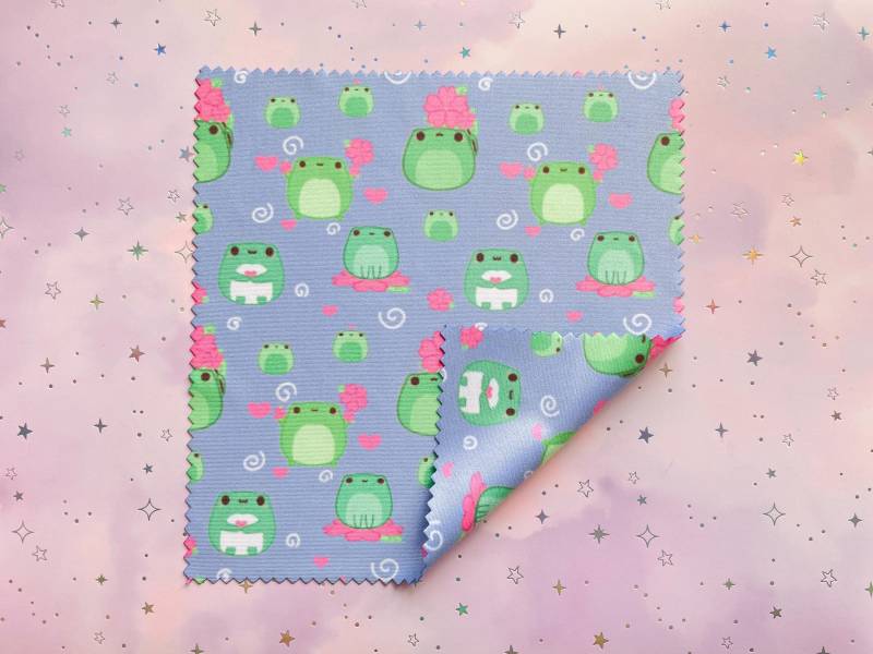 Kawaii Frog Mikrofasertuch | Frosch Brillenputztuch Sakura Kirschblüten Froggy Motiv Süße Kleine Geschenke Double Sided von MoondropAtelier