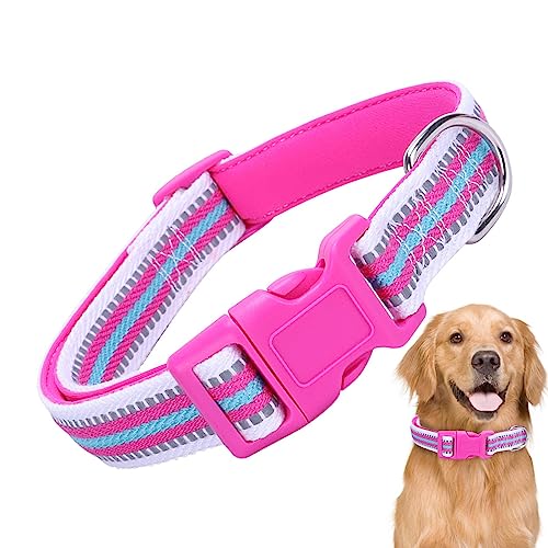 Hundehalsband reflektierend,Reflektierendes Hundehalsband mit Sicherheitsschnalle - Buntes und bequemes Hundehalsband für kleine, mittelgroße Haustiere und Katzen Moonyan von Moonyan