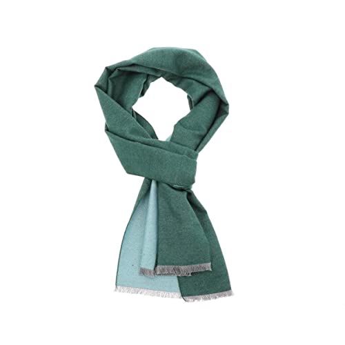 More Than Hip WuWen Damen Schal Bambus - Grün/Mint - Breites Damen Umschlagtuch aus Bambus Viskose Scarf Bamboo Deckenschal Schultertuch Winter Herbst - 60 x 200 cm von More Than Hip