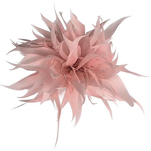 Damen Trachten-Brosche Hutfeder, MoreChioce Vintage-Stil Feder Blumen Hochzeitsbrosche Brosche Dekor Kopfschmuck Elegante Feder Brosche Hut Blume Haarschmuck Kopf für Party Dekoration,Rose von MoreChioce