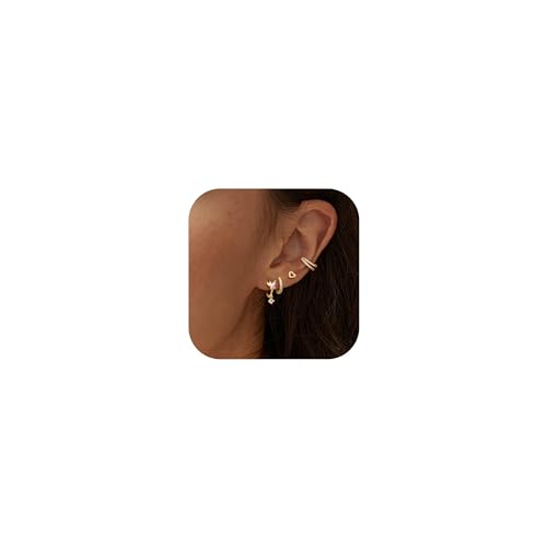 Morfetto 4 Paare zierliche Gold Ohrstecker für Frauen 14k vergoldet Ohrring-Sets für mehrere Piercing kleine Hoop Ohrring Stack stapelbar Hoops Ohrringe Set für Knorpel Herz Morfetto 4 Paare zierliche Gold Ohrstecker für Frauen 14k vergoldet Ohrring-Sets für mehrere Piercing kleine Hoop Ohrring Stack stapelbar Hoops Ohrringe Set für Knorpel Herz von Morfetto