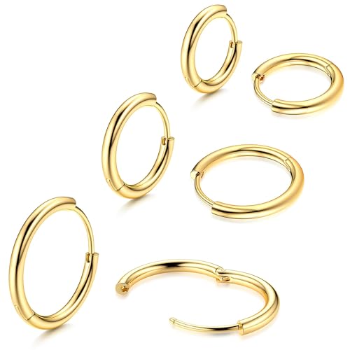 Morfetto F136 Titan Creolen 14 Karat Vergoldete Kleine Creolen Mini Huggie Ohrringe für Frauen Hypoallergene Titan Ohrringe Gold 8/10/12MM von Morfetto