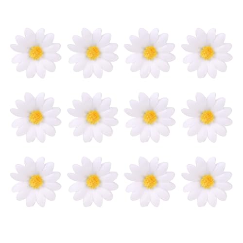 12 Stück Daisy Hair Clip Gänseblümchen Haarschmuck Blumen Haarspangen Kleine Haarklammer Süße Daisy Haarnadel Weiß Blumen Haarnadeln Set Blumenrand Clip für Damen Mädchen von Mozeat Lens