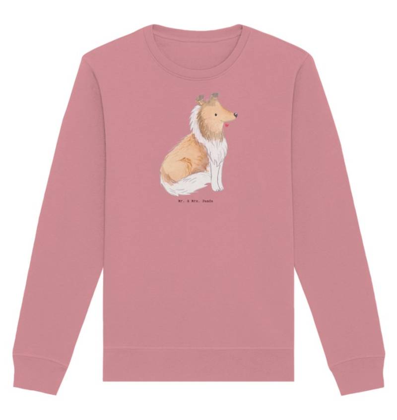 Mr. & Mrs. Panda Longpullover Größe XS Langhaar Collie Moment - Canyon Pink - Geschenk, britischer (1-tlg) von Mr. & Mrs. Panda