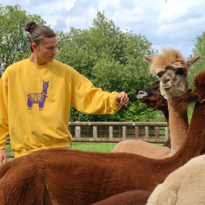 Alpaka Sweatshirt Yellow /Alpaca Gelb - Pullover Handprinted Unisex von MrsSoleilMrsLune