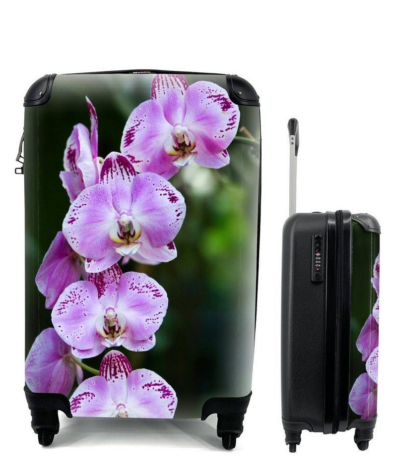 MuchoWow Handgepäckkoffer Blühende Orchideen, 4 Rollen, Reisetasche mit rollen, Handgepäck für Ferien, Trolley, Reisekoffer von MuchoWow