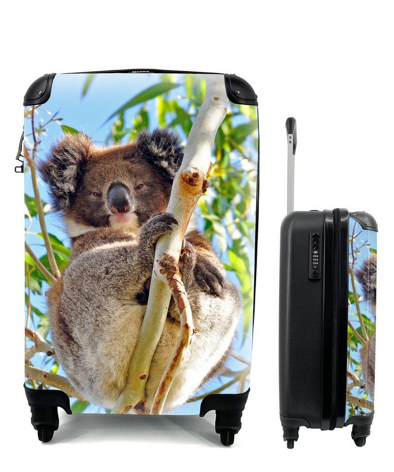 MuchoWow Handgepäckkoffer Koala - Luft - Zweige - Kinder - Jungen - Mädchen, 4 Rollen, Reisetasche mit rollen, Handgepäck für Ferien, Trolley, Reisekoffer von MuchoWow