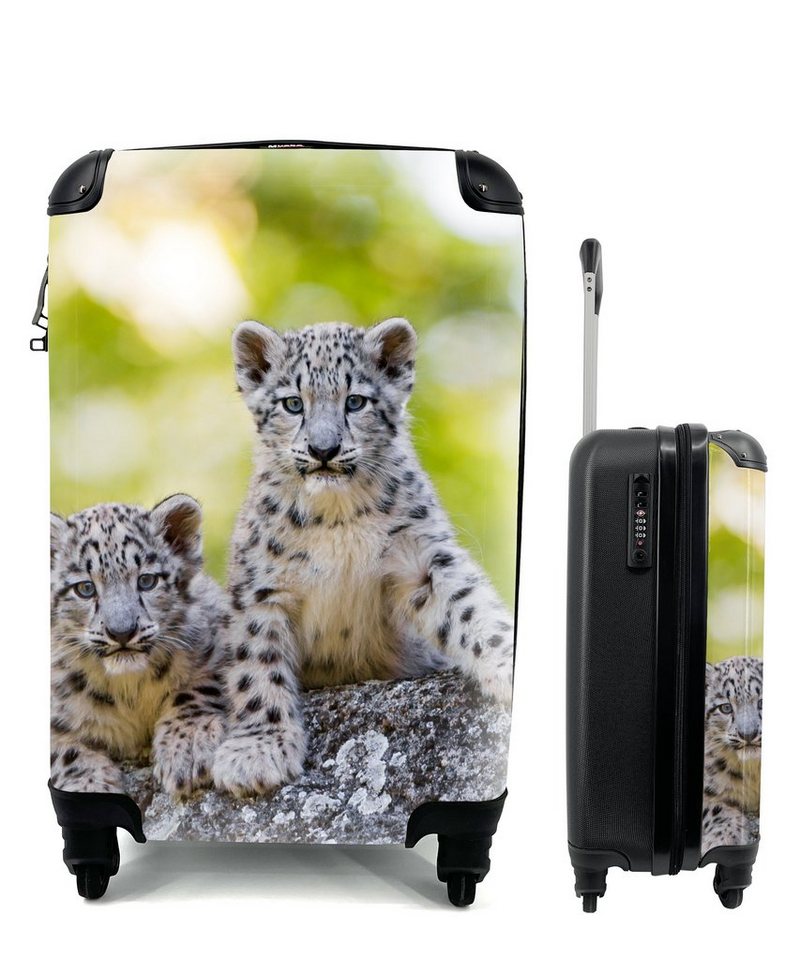 MuchoWow Handgepäckkoffer Leopard - Jungtiere - Steine, 4 Rollen, Reisetasche mit rollen, Handgepäck für Ferien, Trolley, Reisekoffer von MuchoWow